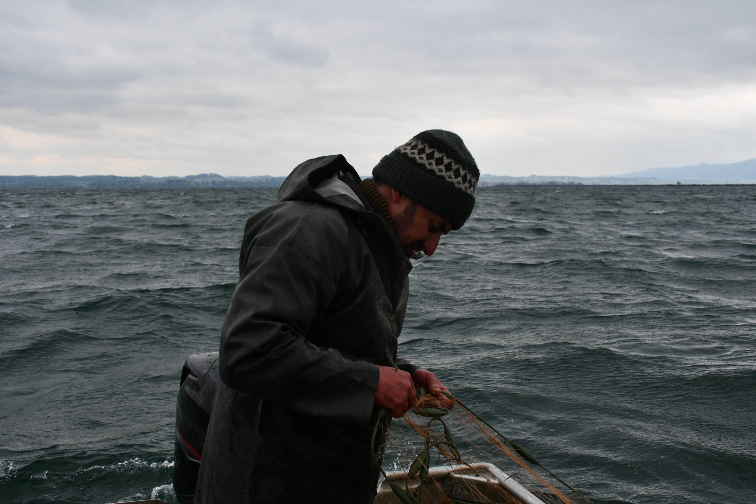 Perturbé par les espèces invasives, le lac de Constance sur la brèche