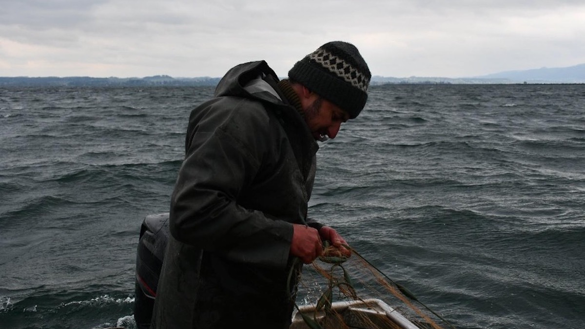 Saving the Lake of Constance